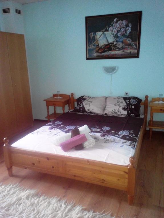 Veselata Guest House Dolna Banya Kültér fotó