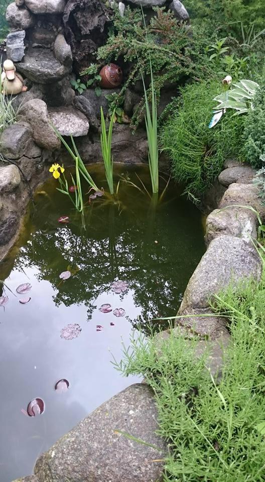 Veselata Guest House Dolna Banya Kültér fotó