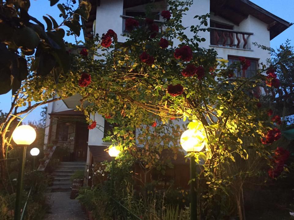 Veselata Guest House Dolna Banya Kültér fotó
