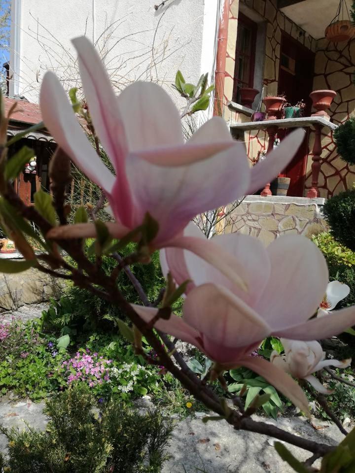 Veselata Guest House Dolna Banya Kültér fotó